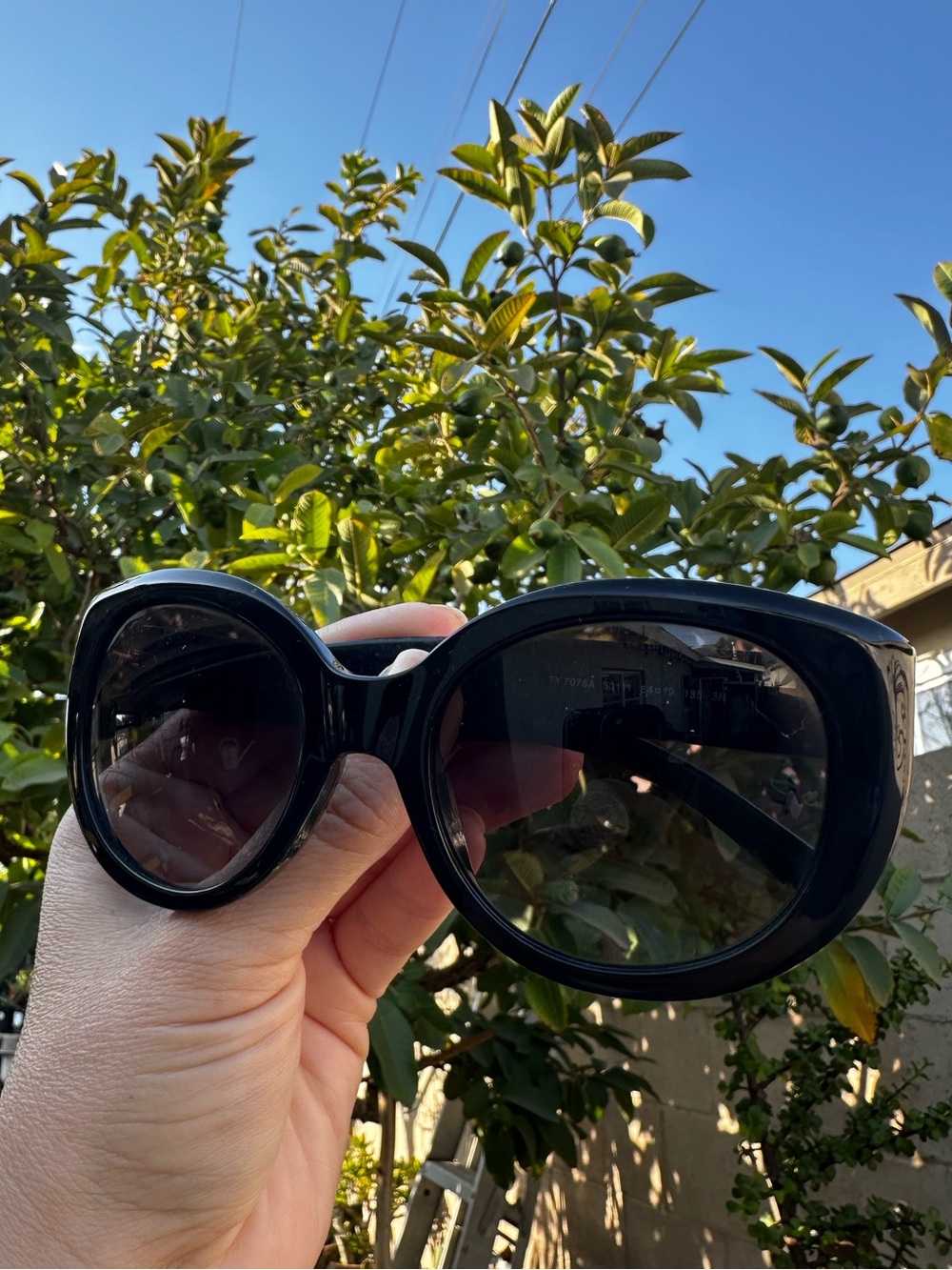 Tory Burch Black Round Oversized Sunglasses
